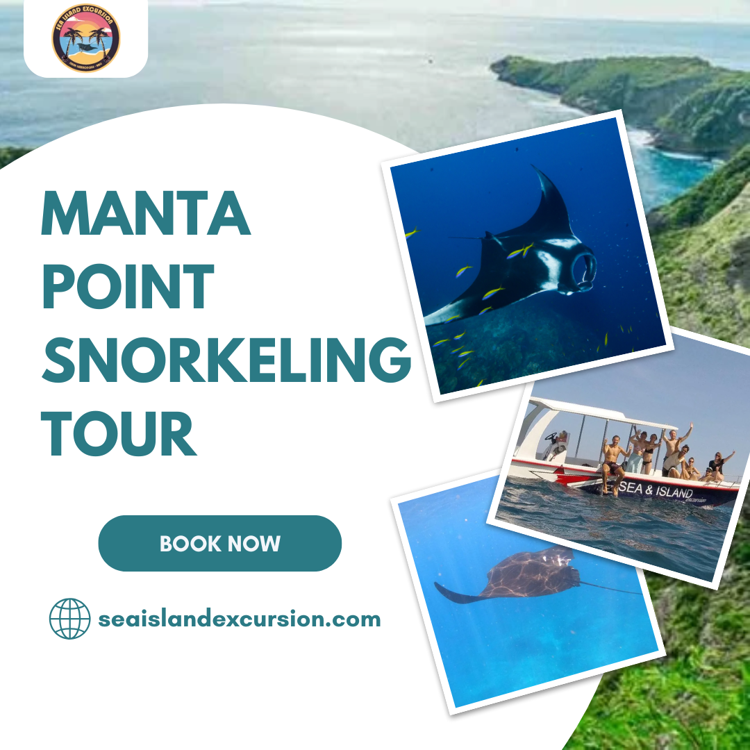 Manta Point Snorkeling Tour