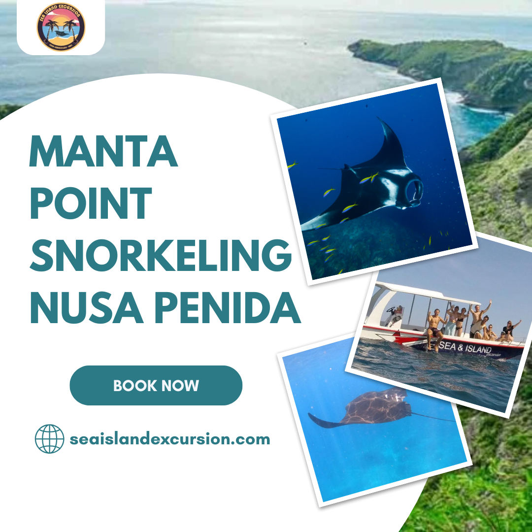 Manta Point Snorkeling Nusa Penida