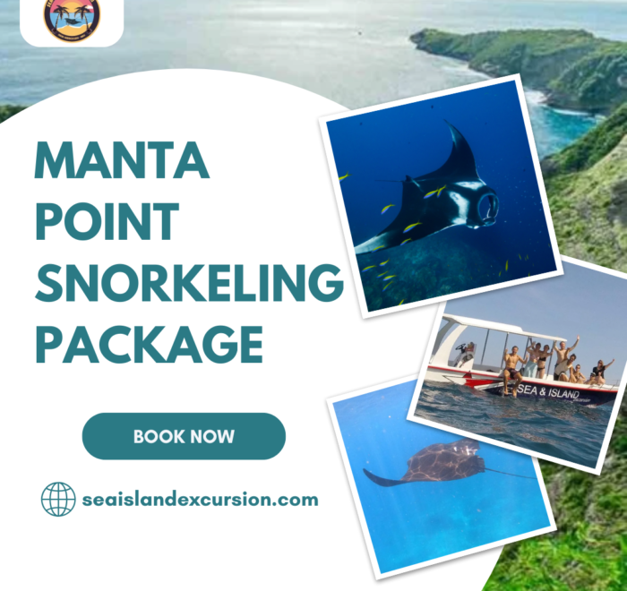 Manta Point Snorkeling Package