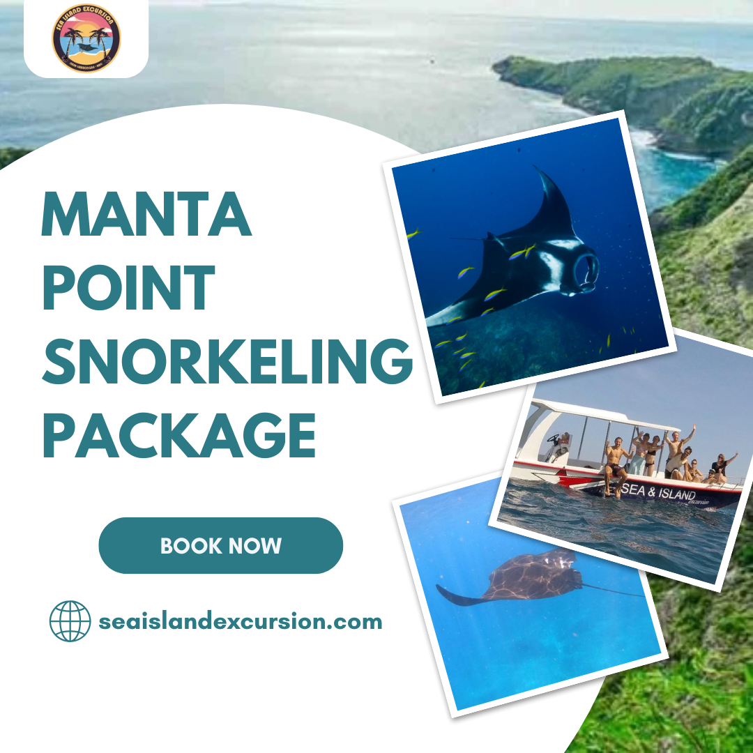 Manta Point Snorkeling Package
