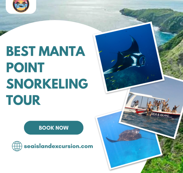 Best Manta Point Snorkeling Tour