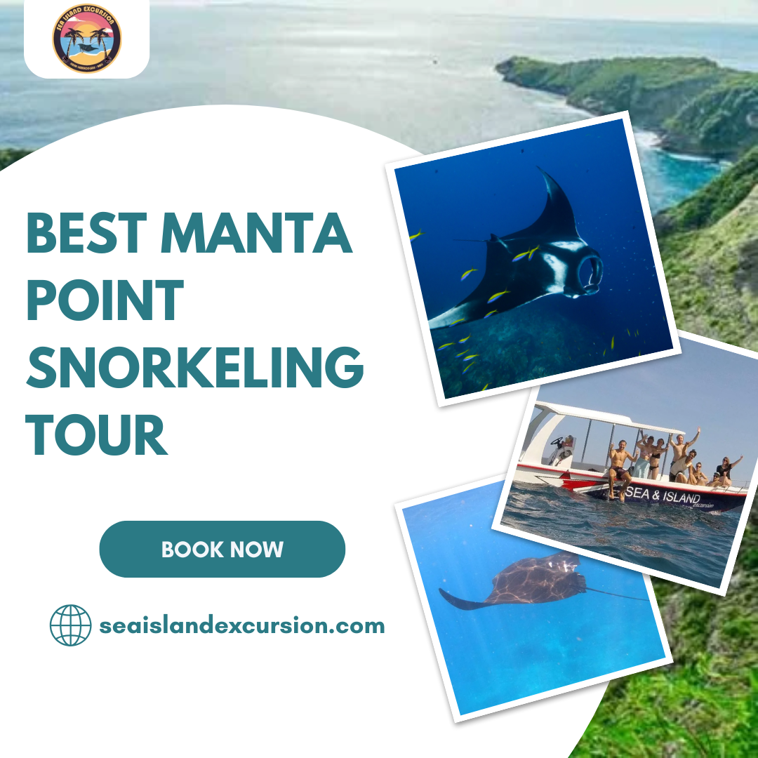 Best Manta Point Snorkeling Tour