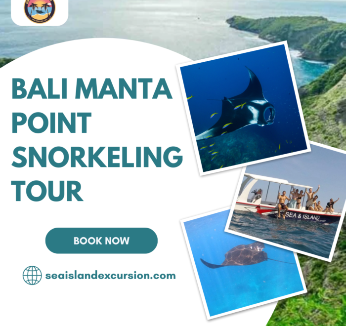 Bali Manta Point Snorkeling Tour