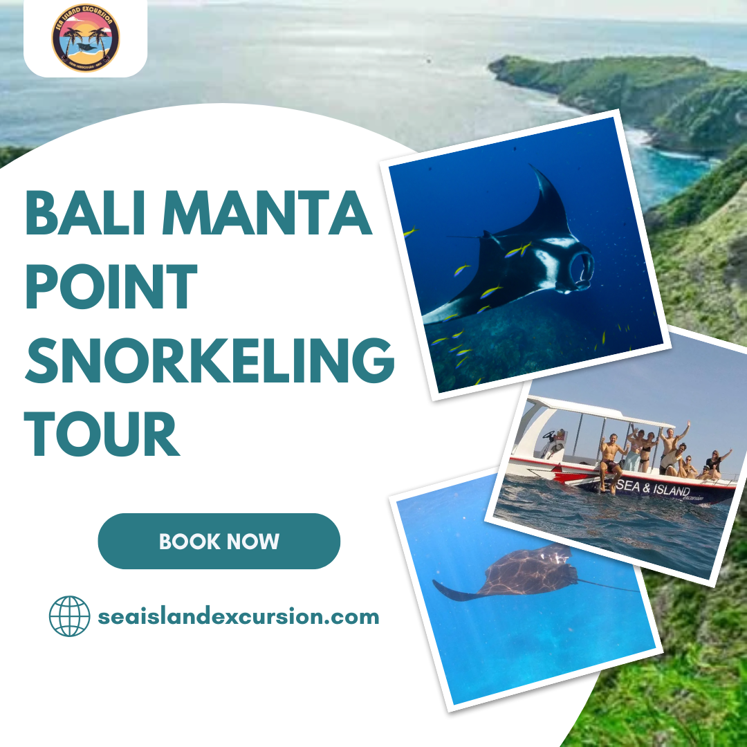 Bali Manta Point Snorkeling Tour
