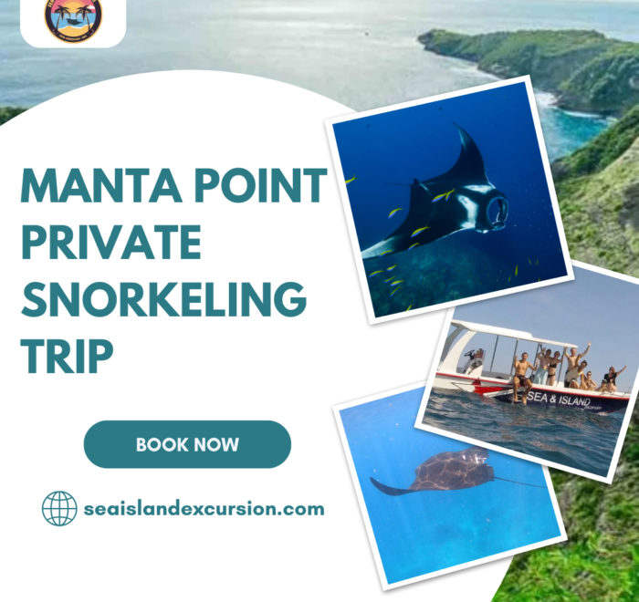 Manta Point Private Snorkeling Trip