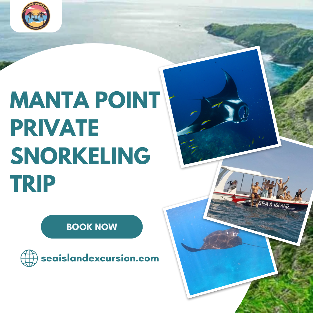Manta Point Private Snorkeling Trip