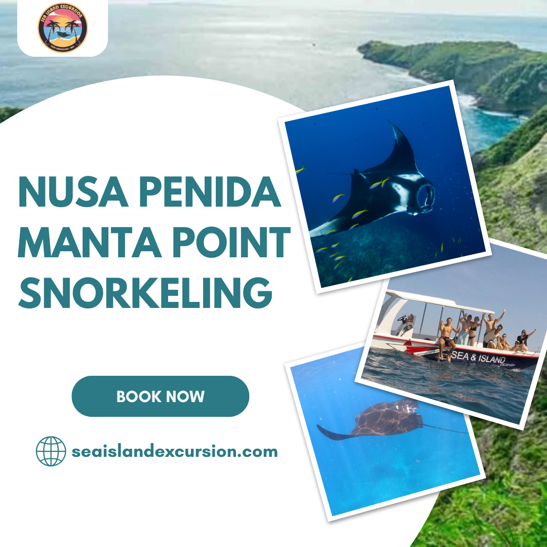 Nusa Penida Manta Point Snorkeling
