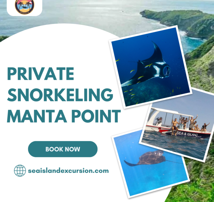 Private Snorkeling Manta Point
