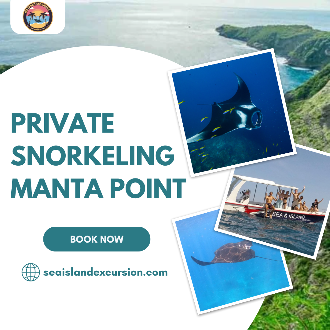 Private Snorkeling Manta Point