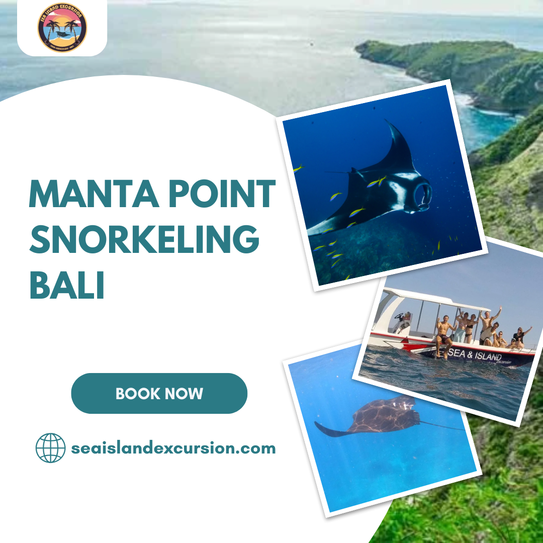 Manta Point Snorkeling Bali