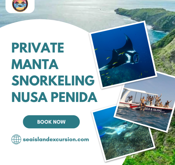 Private Manta Snorkeling Nusa Penida