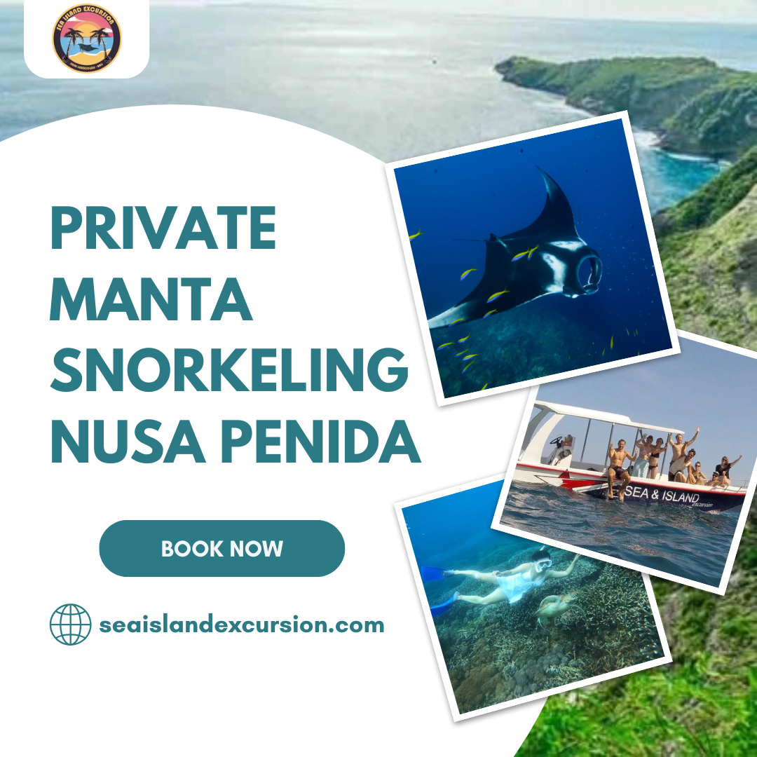 Private Manta Snorkeling Nusa Penida