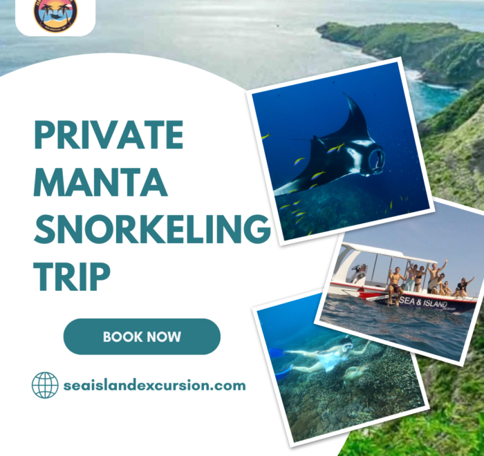 Private Manta Snorkeling Trip
