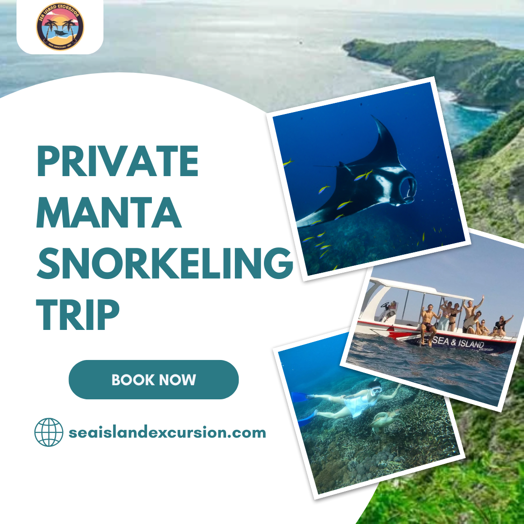 Private Manta Snorkeling Trip