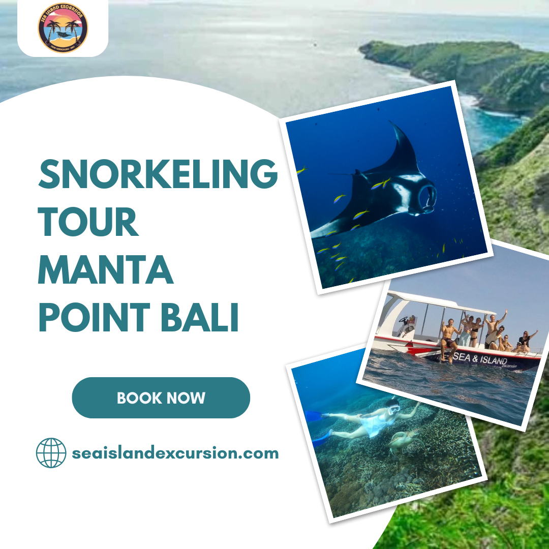 Snorkeling Tour Manta Point Bali