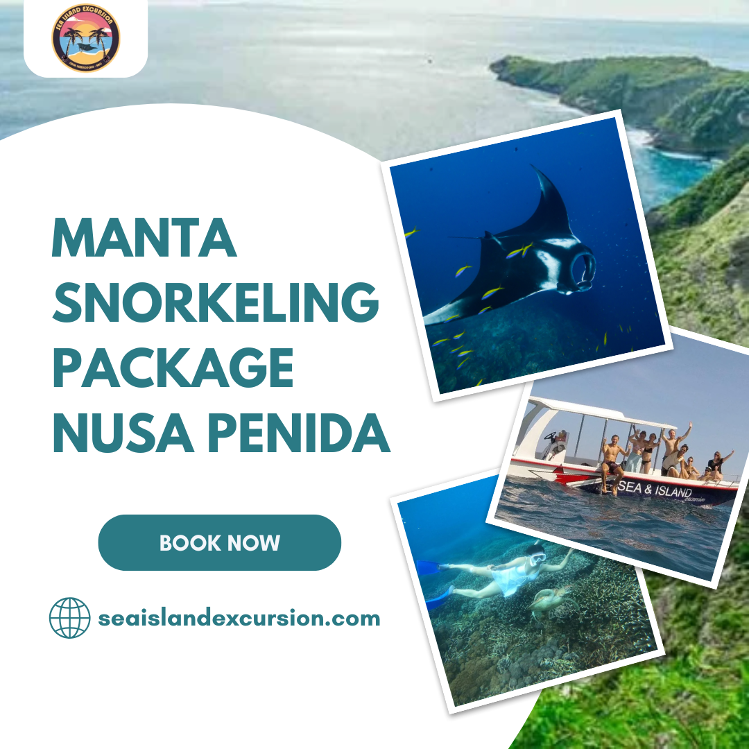 Manta Snorkeling Package Nusa Penida