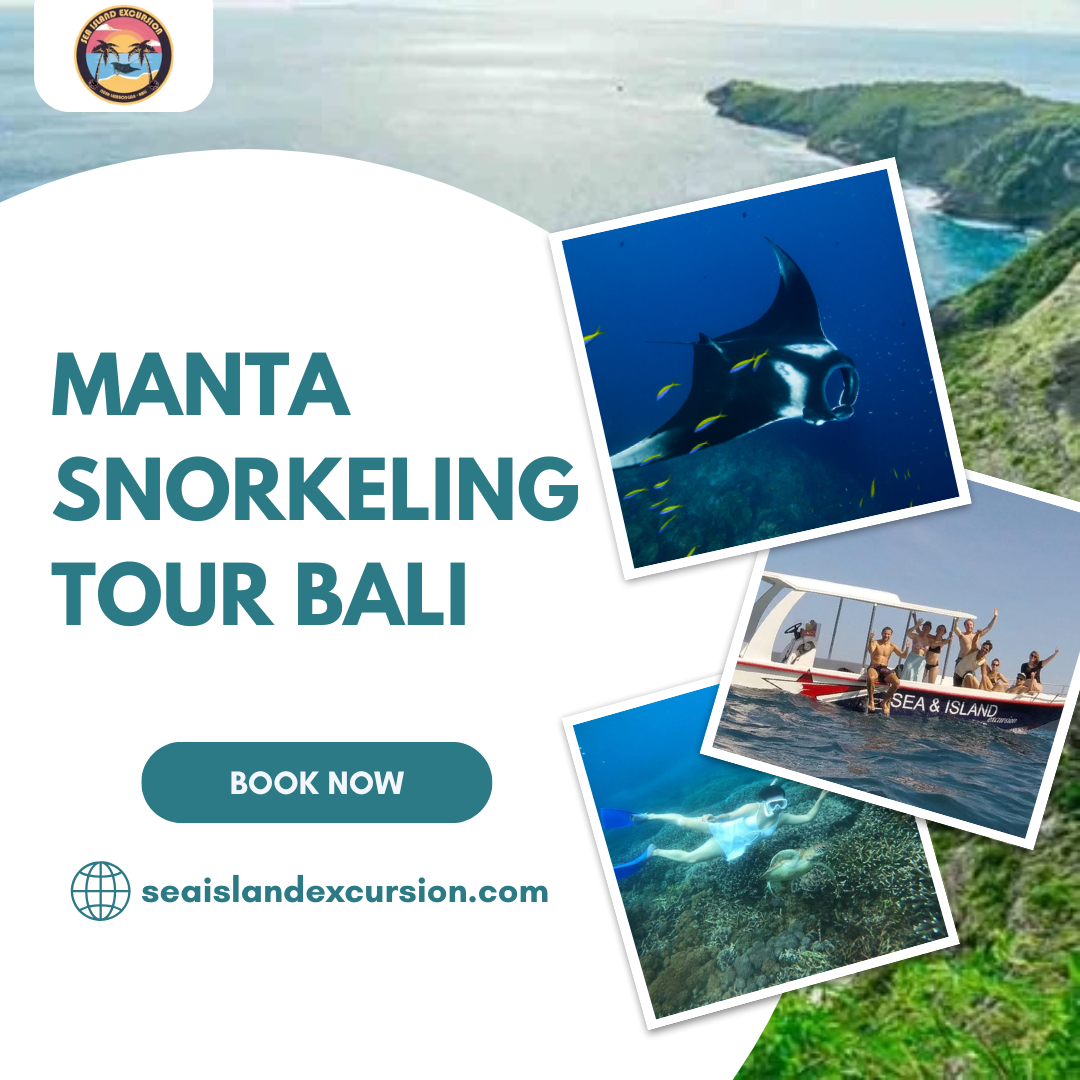Manta Snorkeling Tour Bali