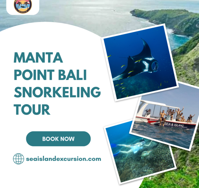 Manta Point Bali Snorkeling Tour
