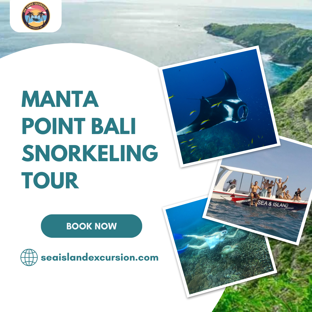 Manta Point Bali Snorkeling Tour
