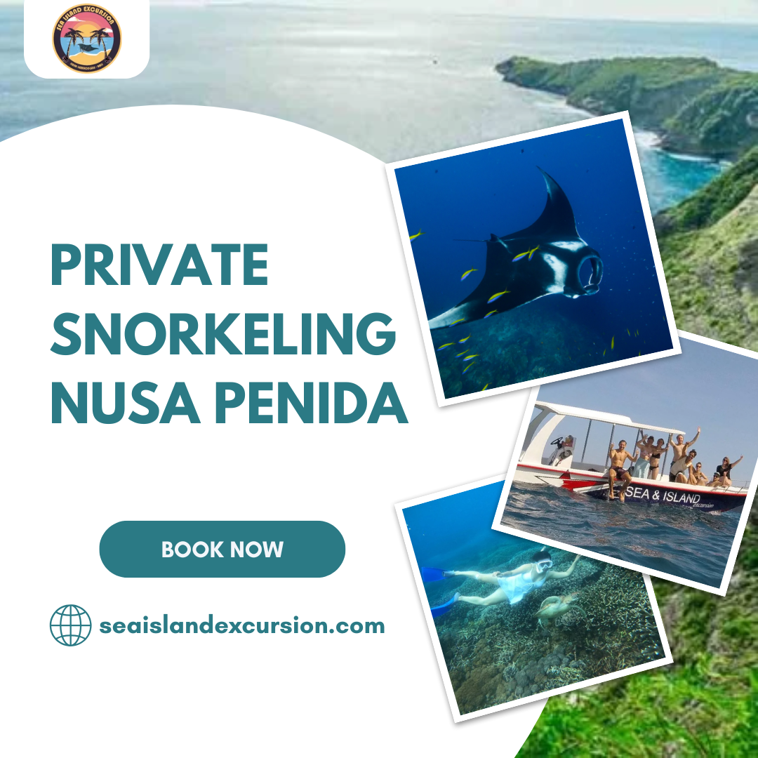 Private Snorkeling Nusa Penida
