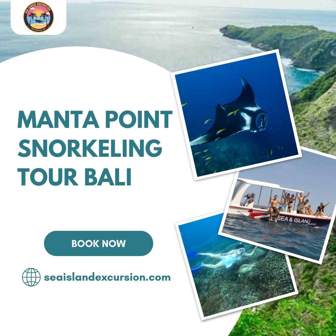 Manta Point Snorkeling Tour Bali