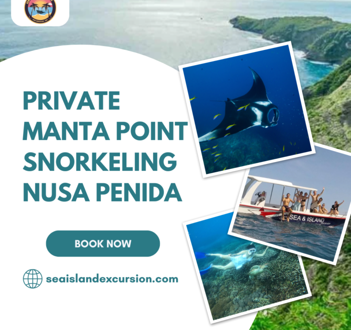 Private Manta Point Snorkeling Nusa Penida