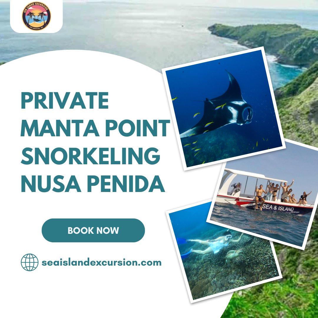 Private Manta Point Snorkeling Nusa Penida