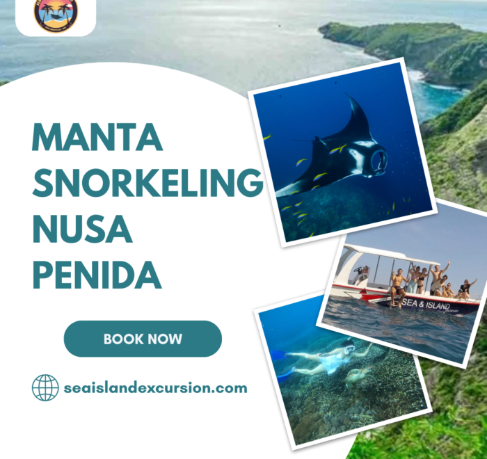 Manta Snorkeling in Nusa Penida