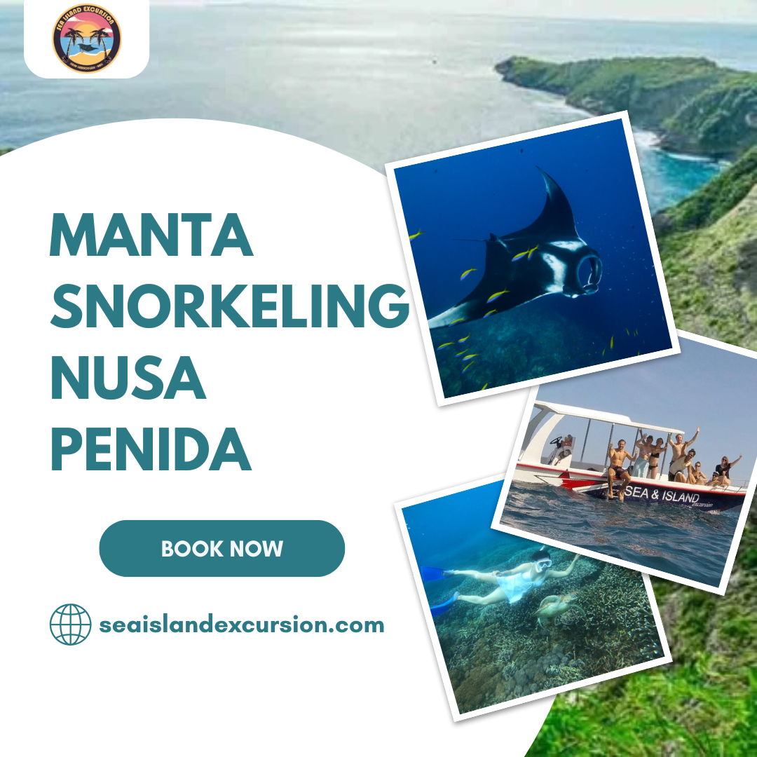 Manta Snorkeling in Nusa Penida