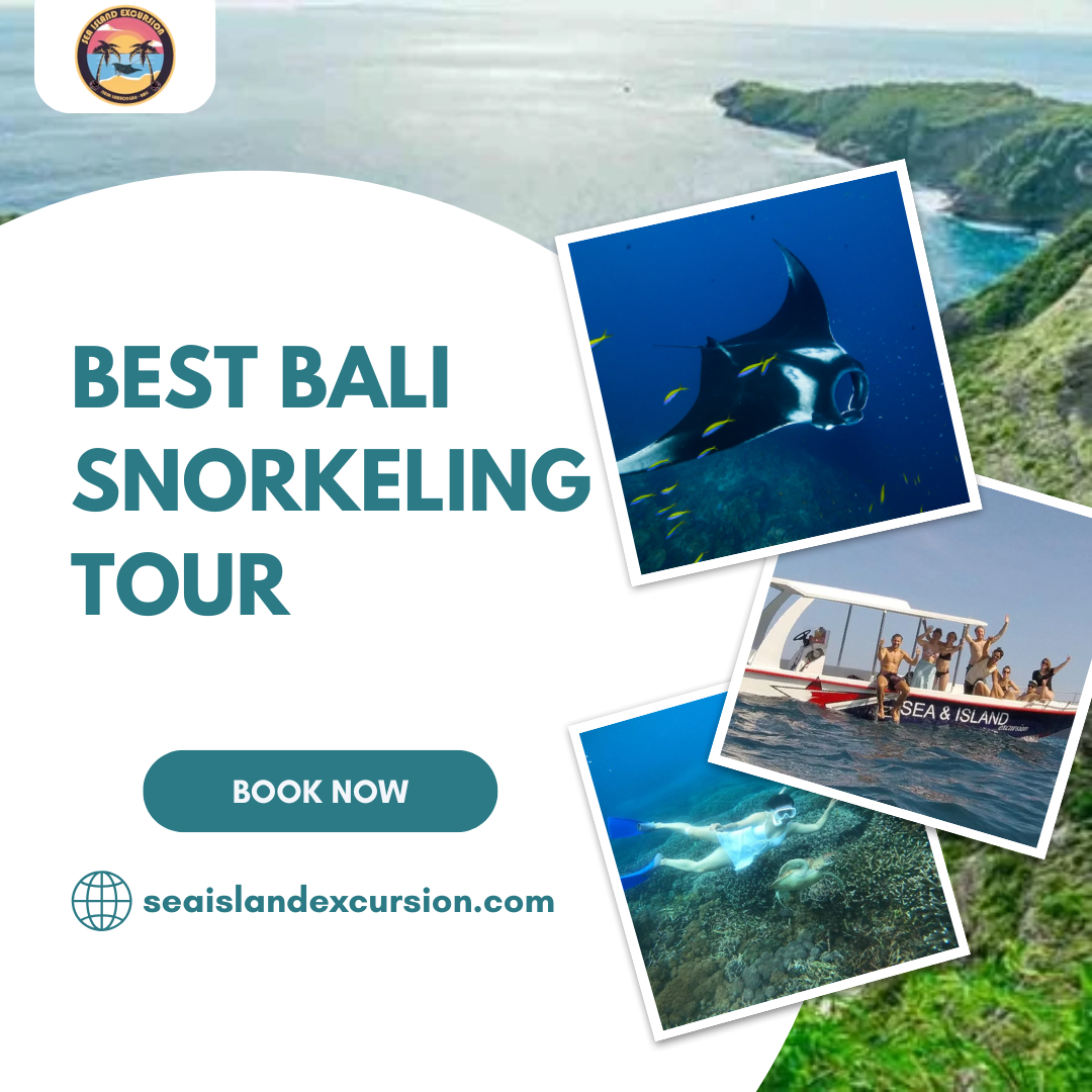 Best Bali Snorkeling Tour