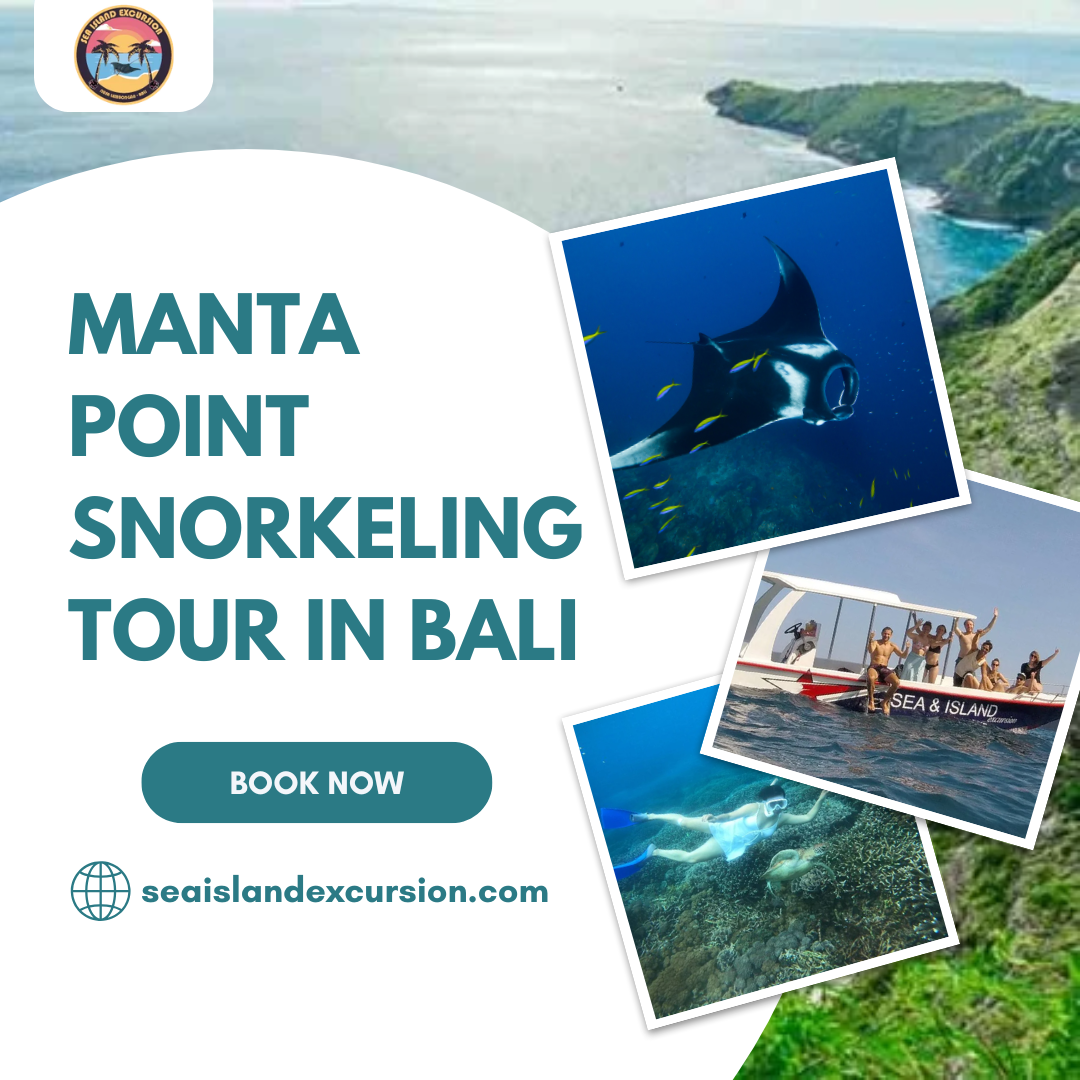 Manta Point Snorkeling Tour in Bali