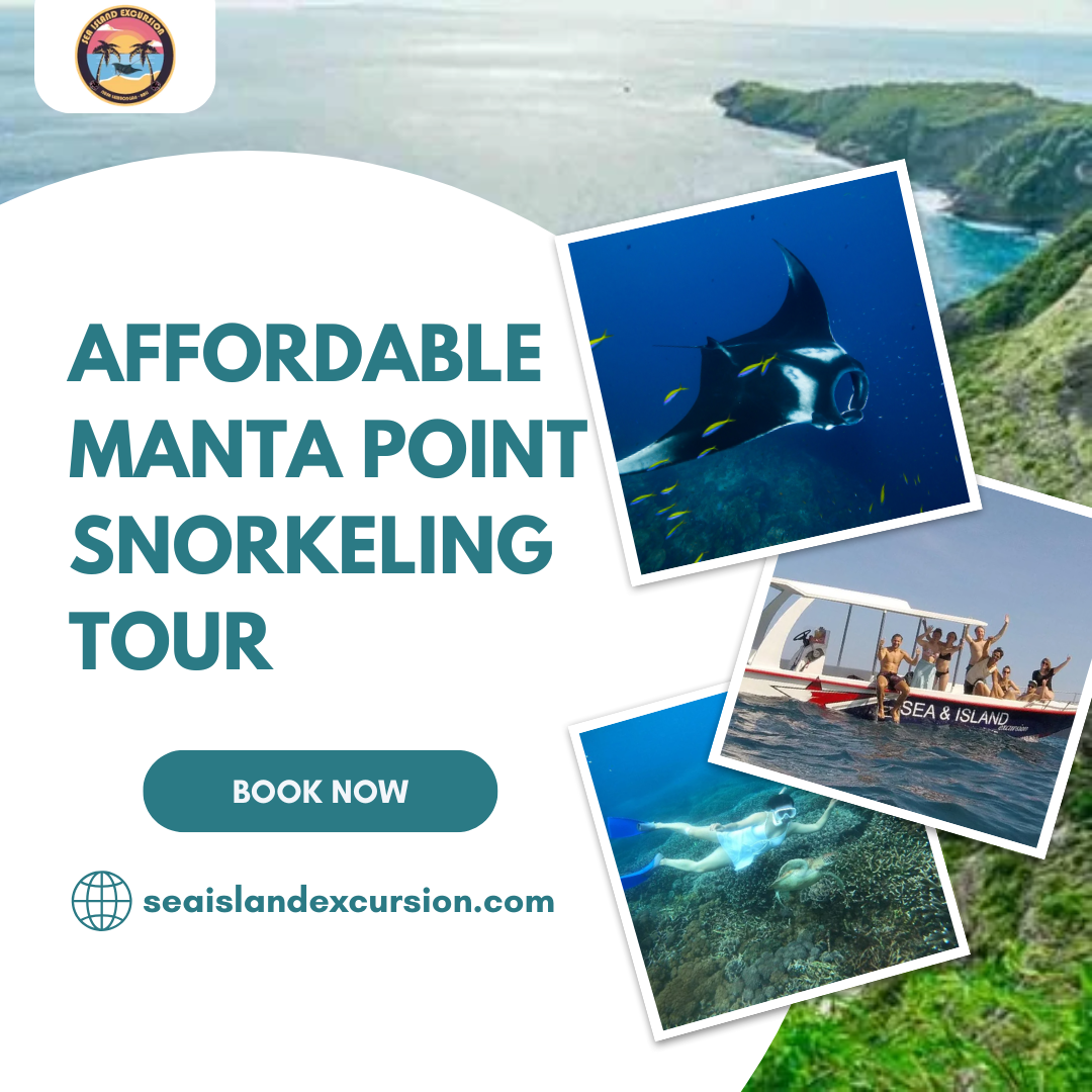 Affordable Manta Point Snorkeling Tour