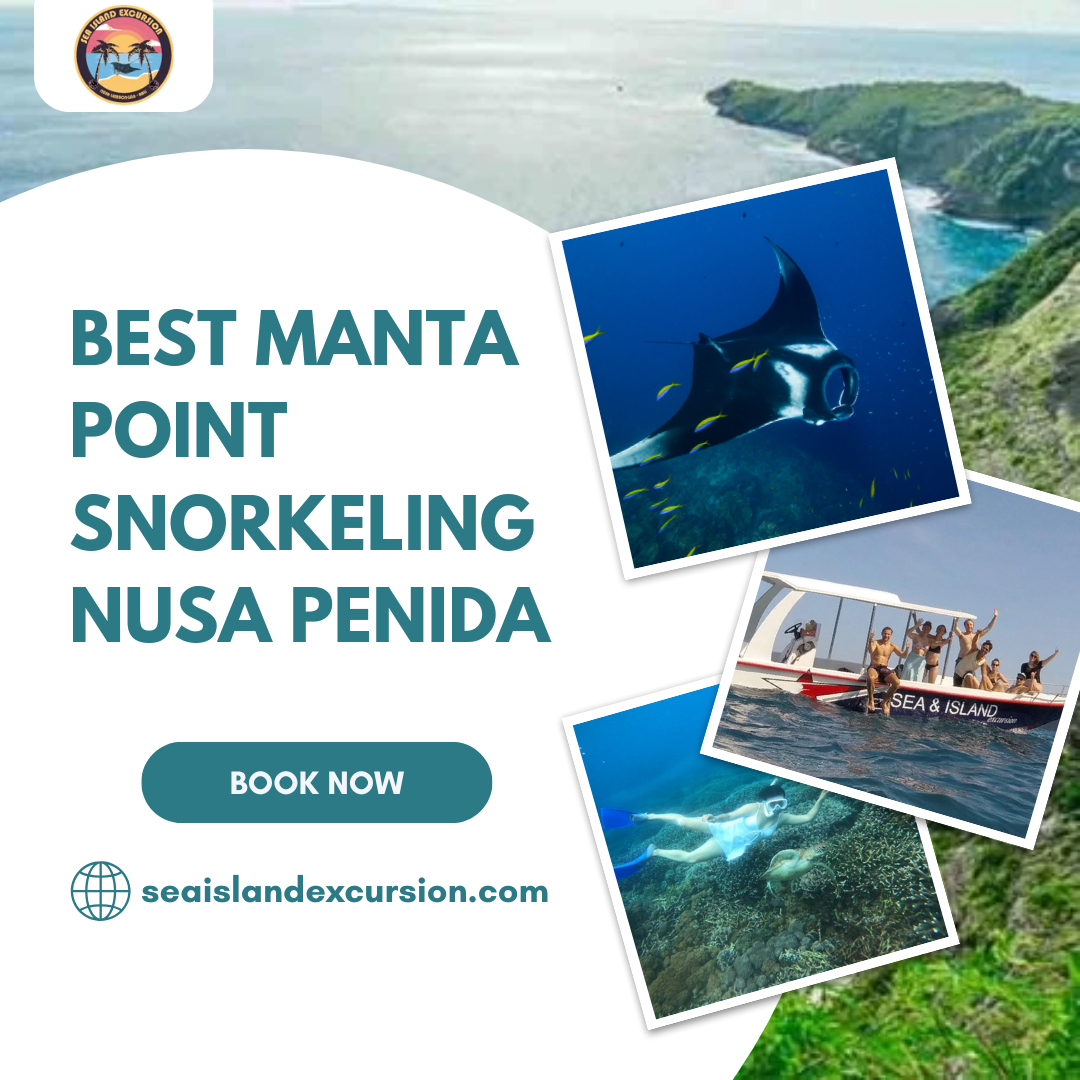 Best Manta Point Snorkeling Nusa Penida