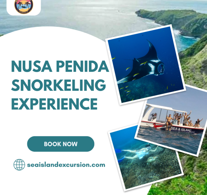 Nusa Penida Snorkeling Experience