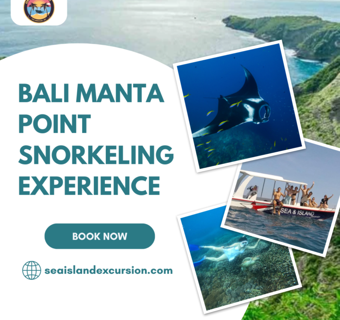 Bali Manta Point Snorkeling Experience