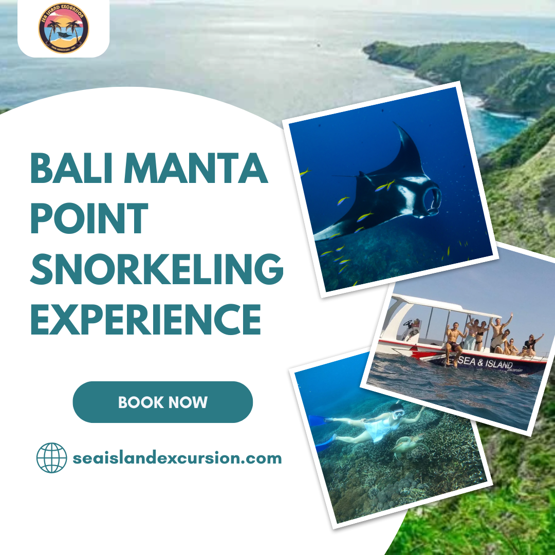 Bali Manta Point Snorkeling Experience