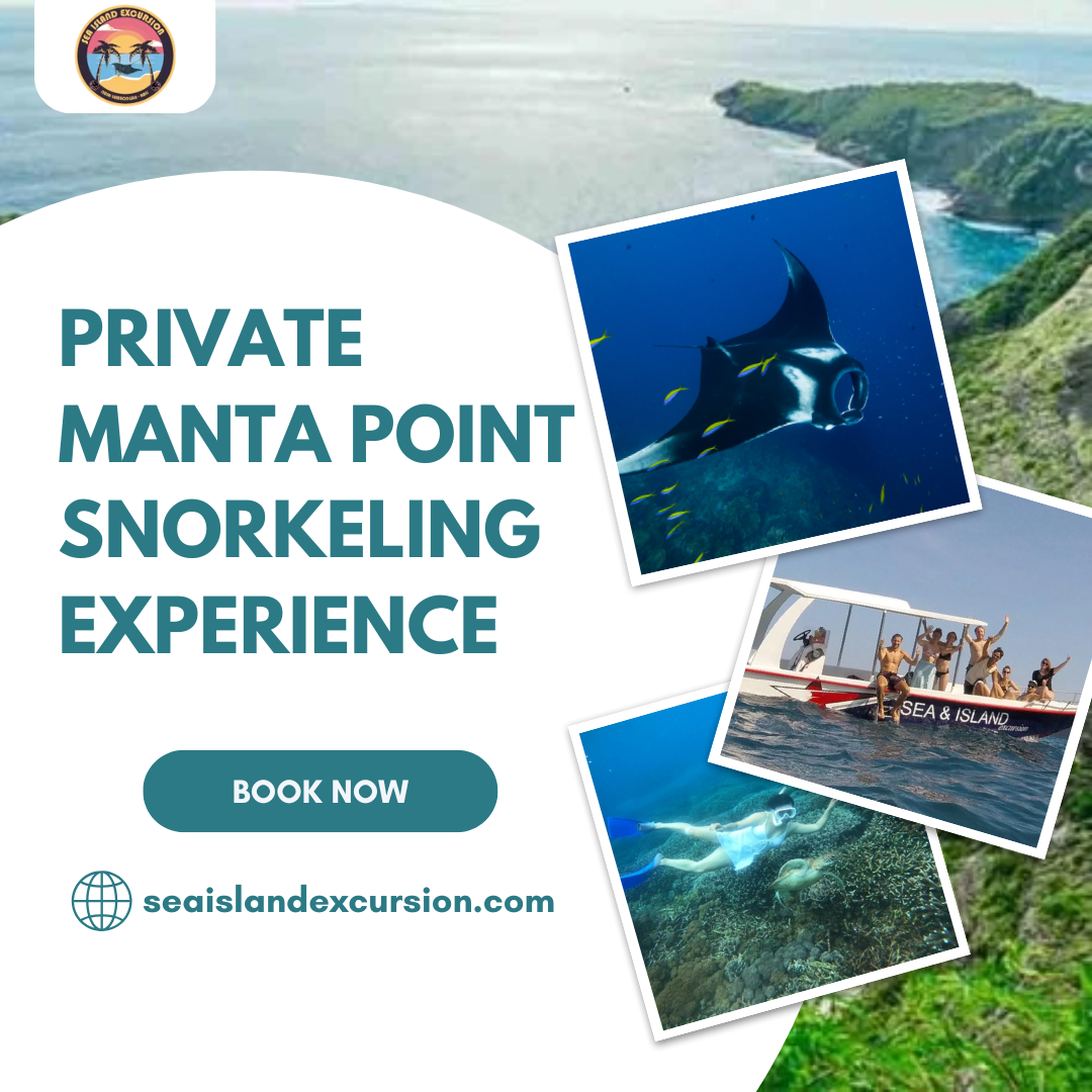Private Manta Point Snorkeling Experience