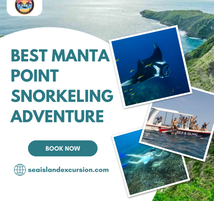 Manta Point Snorkeling Adventure