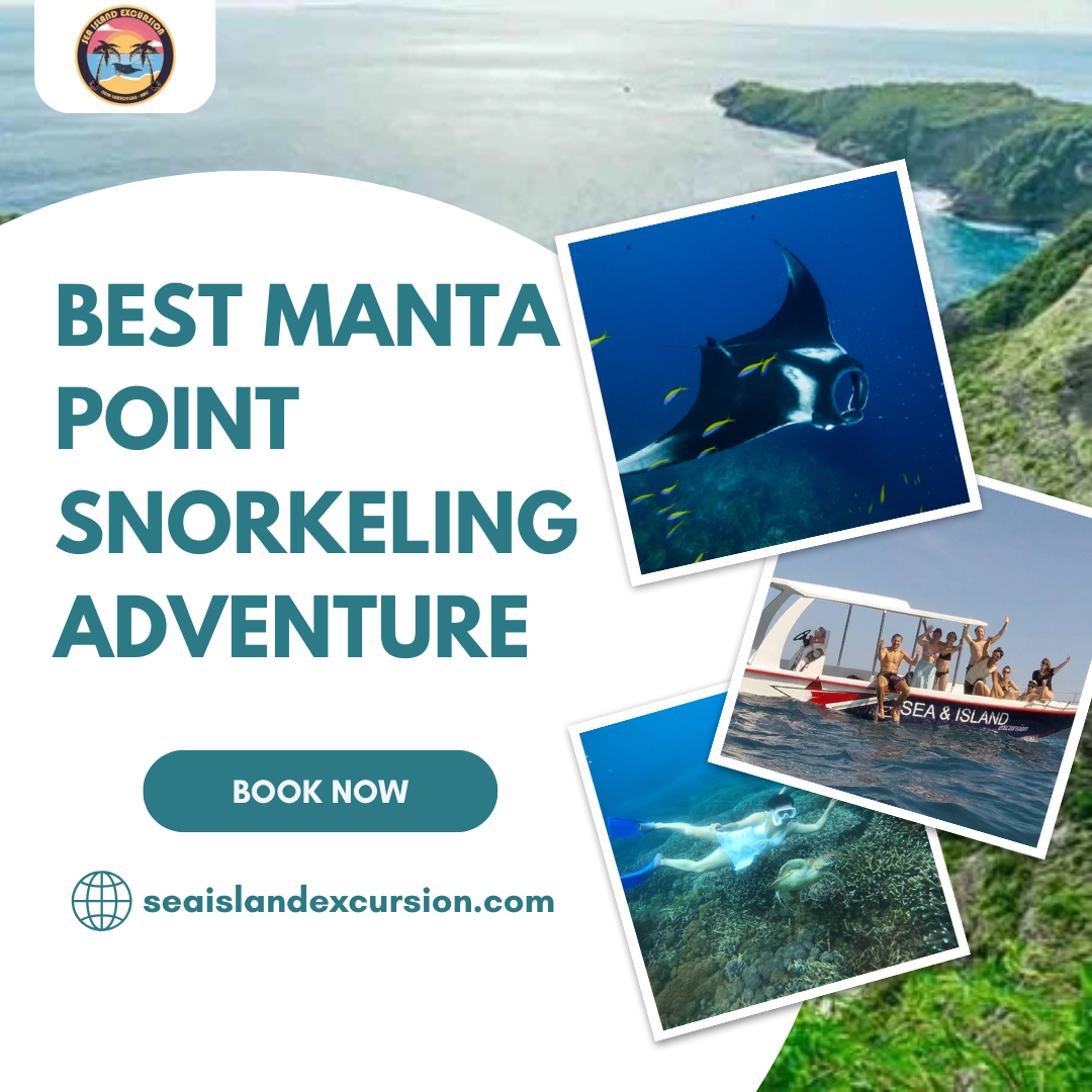 Manta Point Snorkeling Adventure