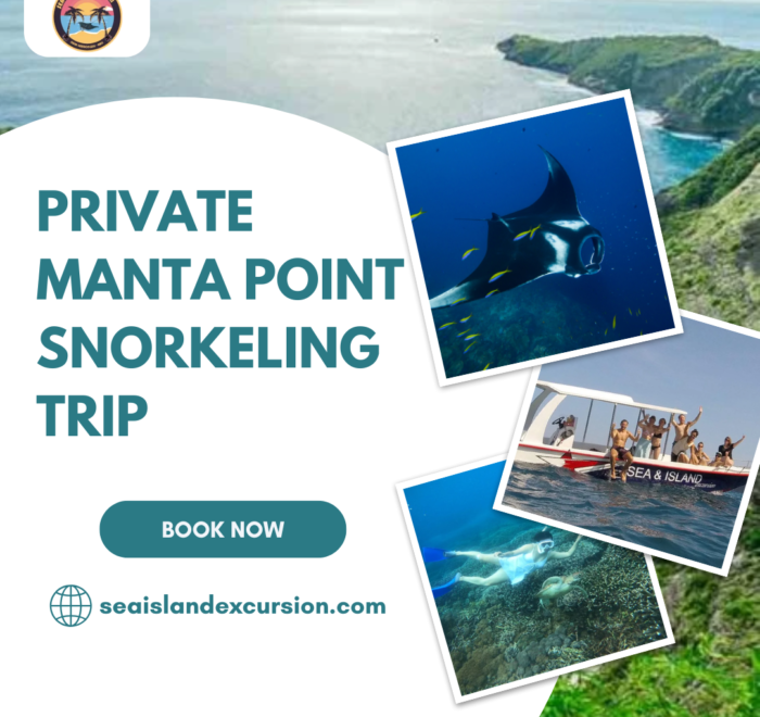 Private Manta Point Snorkeling Trip