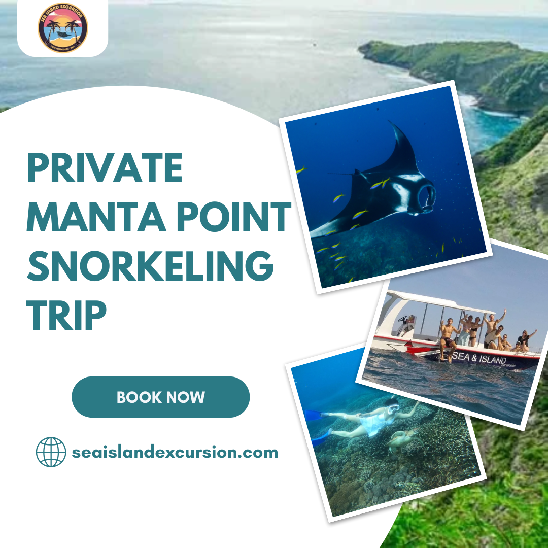 Private Manta Point Snorkeling Trip