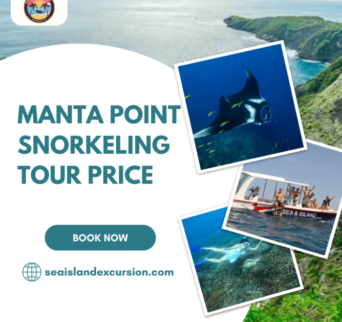 Manta Point Snorkeling Tour Price