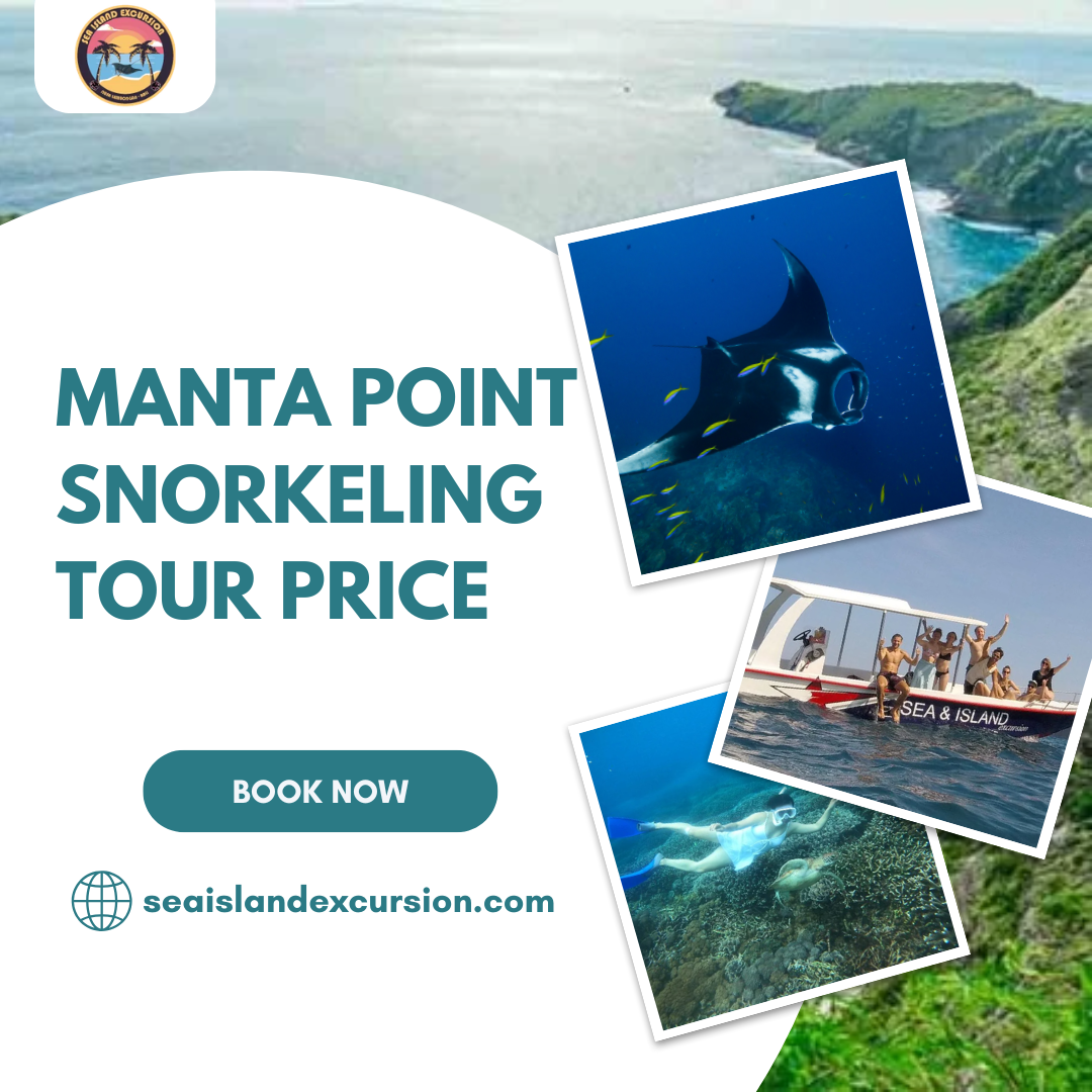 Manta Point Snorkeling Tour Price