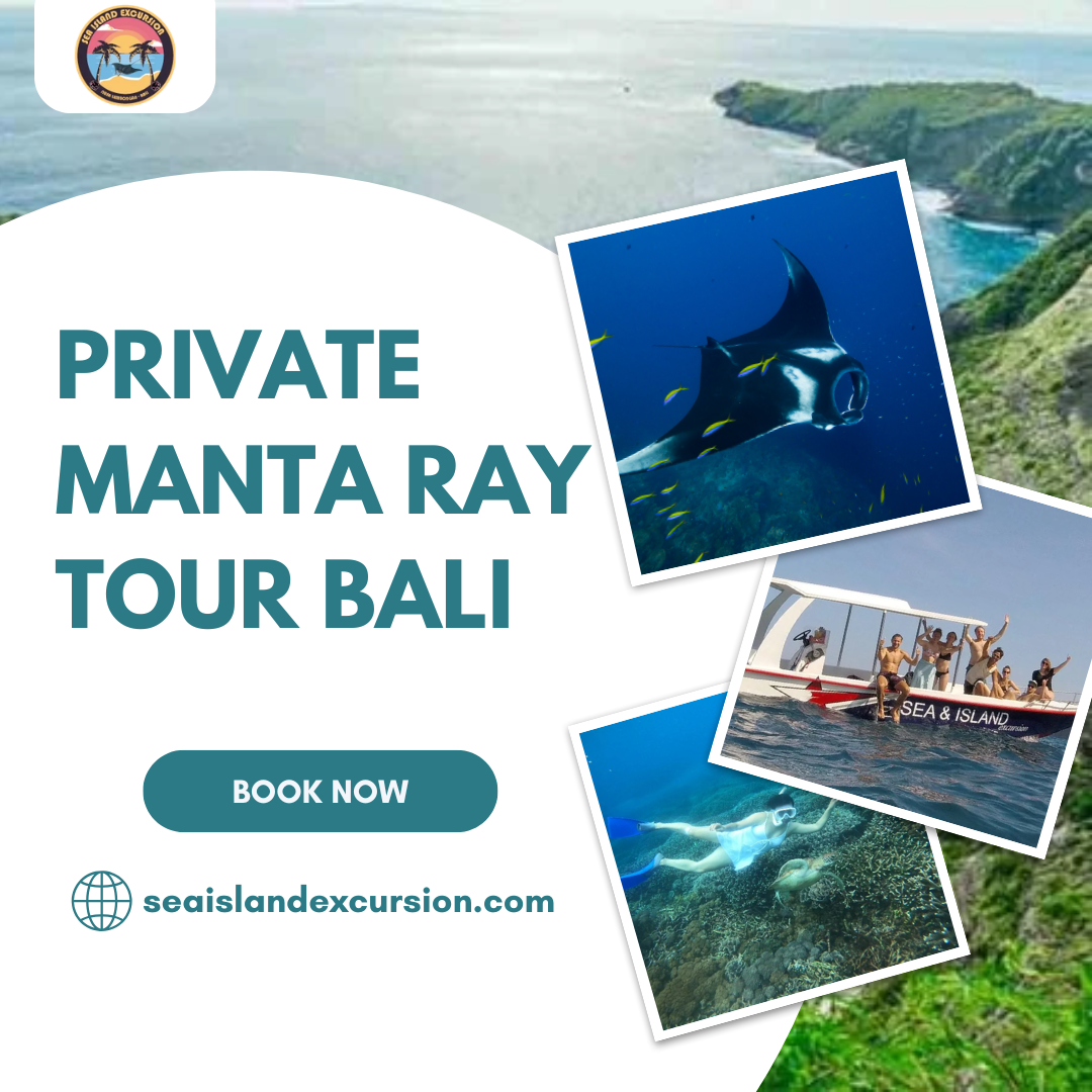 Private Manta Ray Tour Bali
