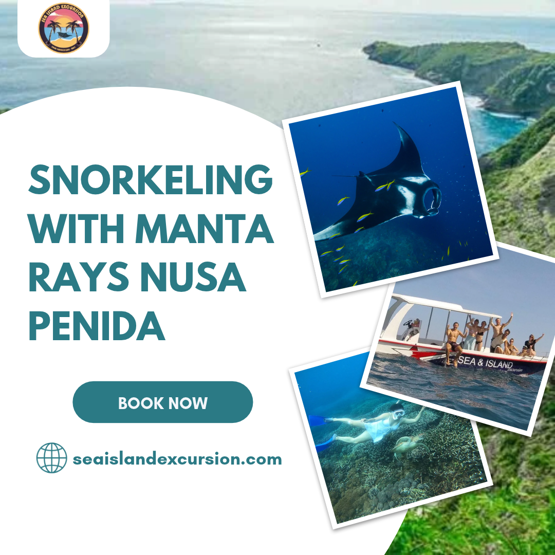 Snorkeling with Manta Rays Nusa Penida