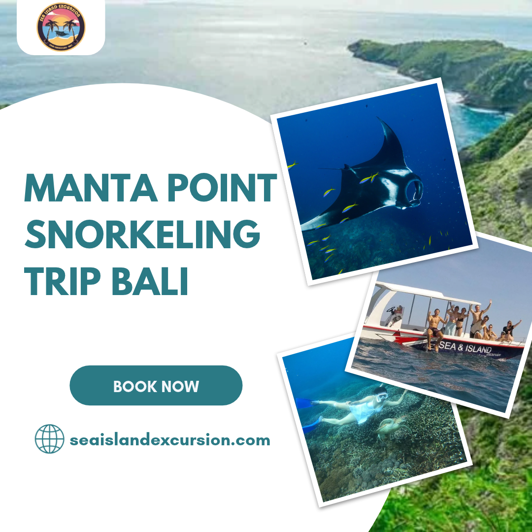 Manta Point Snorkeling Trip Bali